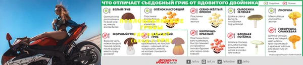 гидропоника Алексин