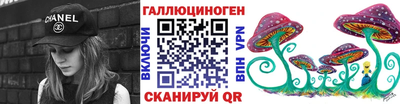 купить сайты Нестеров Псилоцибиновые грибы Cubensis